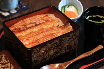 Una-juu. Grilled Eel rice in japanese square box tableware