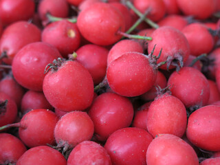 scattering of red hawthorn berries lie in a basket