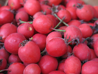 scattering of red hawthorn berries lie in a basket