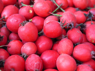 scattering of red hawthorn berries lie in a basket