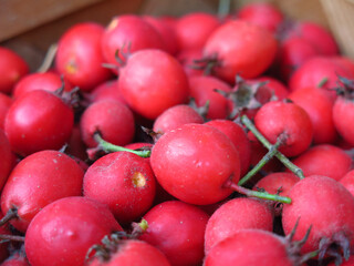 scattering of red hawthorn berries lie in a basket