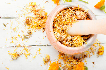 Calendula for herbal medicine.