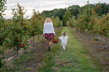 Fototapeta premium Young mother with her child in apple garden.