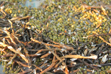 Mung beans and pods