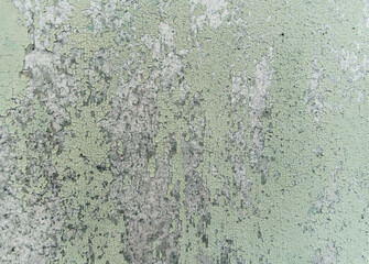 wood texture, abstraction. wooden slats for construction and home decoration. sawn board