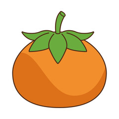 orange citrus fruit nature icon