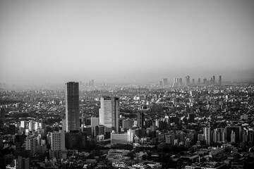 Monochrome Tokyo