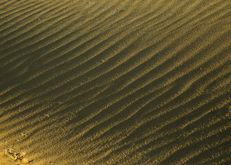 wave pattern formed by wind on a sand dune