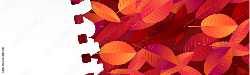 Wall mural autumn banner or website header with fall red and orange leaves under a torn out sheet of note pad p