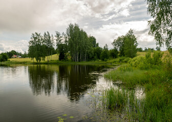 Fototapeta na wymiar summer landscape by the lake, trees and cumulus clouds reflect in the lake water, shore overgrown with reeds, summer nature