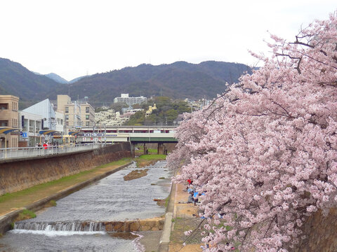 281 Best 芦屋市 Images Stock Photos Vectors Adobe Stock