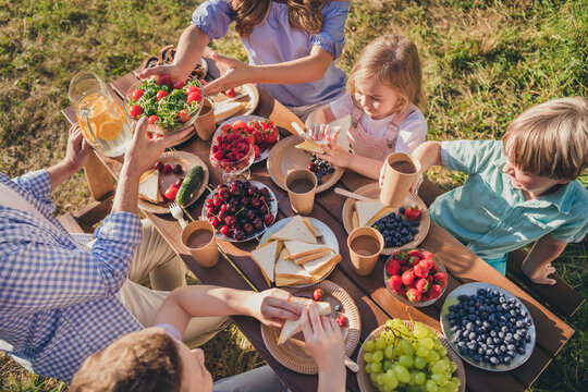 Top above high angle view photo full family people gathering have fun organic village meal sit table mom mommy dad daddy small kids enjoy raspberry strawberry grapes blueberry salad outside