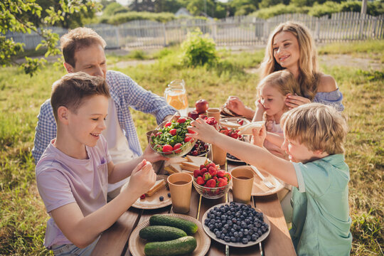 Photo of positive family people mom mommy dad daddy small kids sit table outdoors garden picnic enjoy veggie fresh lunch share tomato salad with berries strawberries blueberries