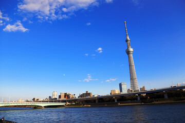 Fototapeta na wymiar view Tokyo sky tower and blue sky