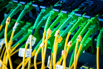 fiber optic cables connected into main data switch