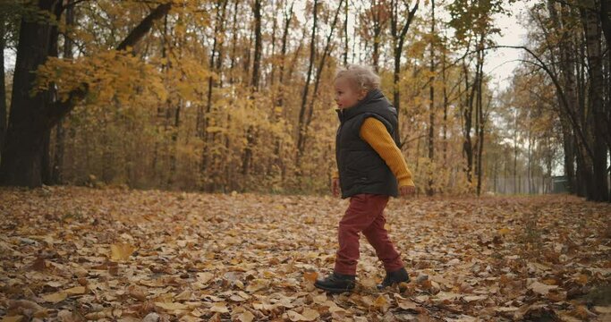 little child is walking in forest at autumn day, enjoying crunch of leaves on ground and having fun, happy kid