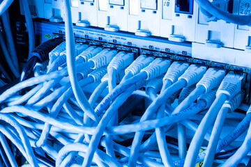 close-up of ethernet cables and switch