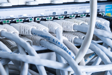 close-up of ethernet cables and switch
