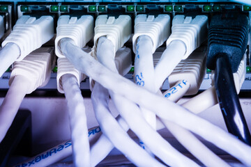 close-up of ethernet cables and switch