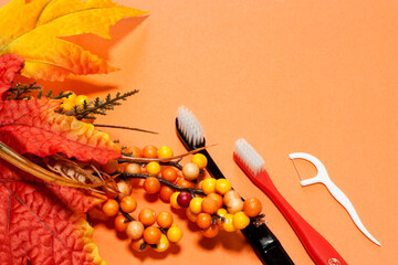 歯ブラシと秋オレンジの木・実・紅葉