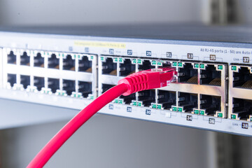 red network cable connected to witch