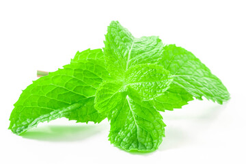 Fresh spearmint leaves isolated on the white background. close up beautiful mint, peppermint.