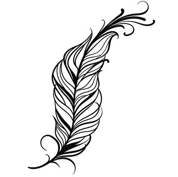 Vintage vector seamless feathers