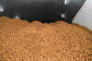 Food, red, lentil, lentil, seed, healthy, grain, ingredient, white, raw, isolated, vegetarian, legumes, dry, beans, beans, diet, closeup, nutrition, brown, organic, corn, bowl, market, food ... potato