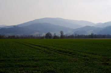green field and mountains - 386855712