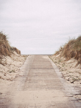 Weg in den D&uuml;hnen