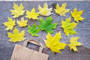 Autumn shopping with discounts. Autumn sales. Crafting beige paper shopping bag, from which look out autumn maple yellow leaves. Top view.