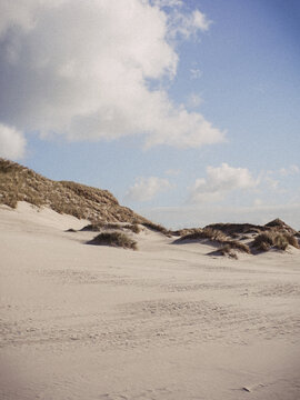 Nordsee Amrum 