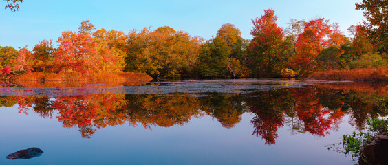 Panoramic Colorful Autumn Foliage Reflected on a Lake with a Glass-like Mirror Water Surface on Cape Cod 