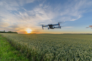 Drone as flying helpers in the field. Drone flying over green corn field.Drone flying above...