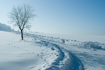 path  in winter