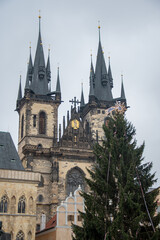 Fototapeta premium Christmas tree and Prague Cathedral