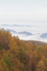 Fototapeta premium 紅葉と雲海
