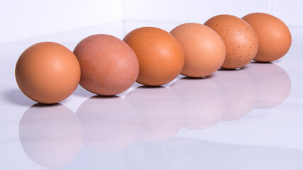 Close-up of fresh brown eggs ,in one line,side view,copy space,background,