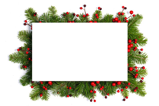 Christmas frame of tree branches