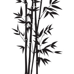Silhouette bamboo leaves on white background.