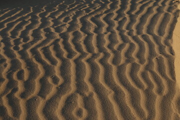 Fototapeta na wymiar sand ripples in desert