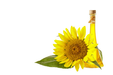 Sunflower oil and sunflower