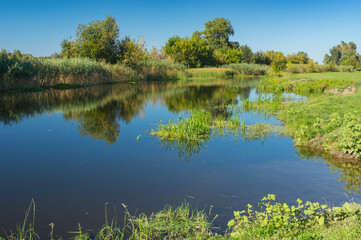 Tranquil summer landscape with small river Merla in Poltavskaya oblast,  Ukraine