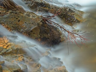 Small branch on the background of silky water.