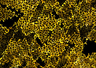 abstract leopard print pattern	
