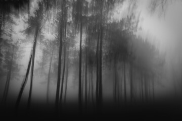 Abstract motion blur of tree in natural background