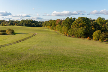 landscape in the summer