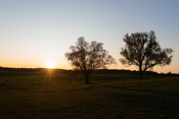 Fototapeta na wymiar sunset in the morning