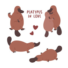 Set with pair of platypuses in love. Vector flat illustration animal isolated on white background