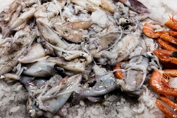 Fish market in Venice (Venezia), Italy; close up of calamari, squids